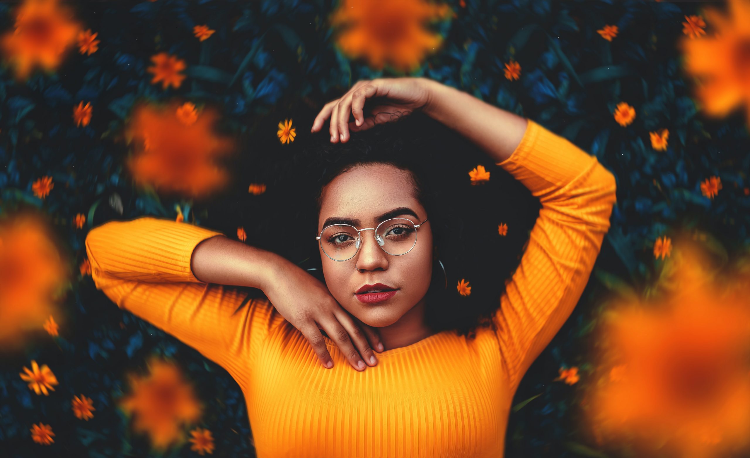 trong kinh doi mau transitions