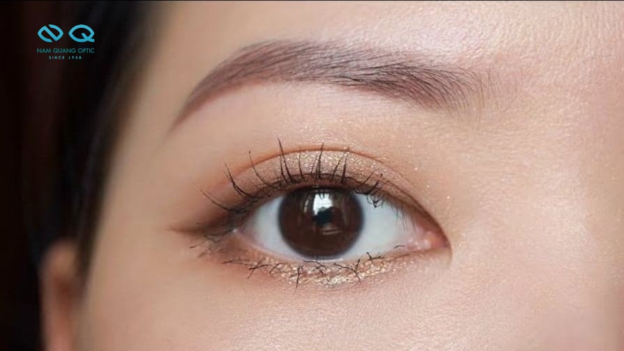 Mắt Màu Nâu Đậm & Mắt Màu Nâu Sẫm