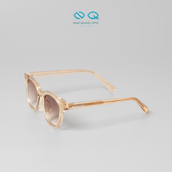Kính mát Moscot 6229_C4