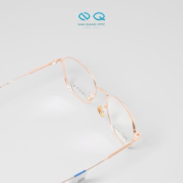 Gọng kính Ziozia KZCTT9025_C2.C