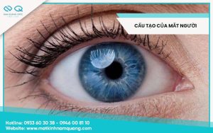 Cấu tạo của mắt người: cách hoạt động, chức năng
