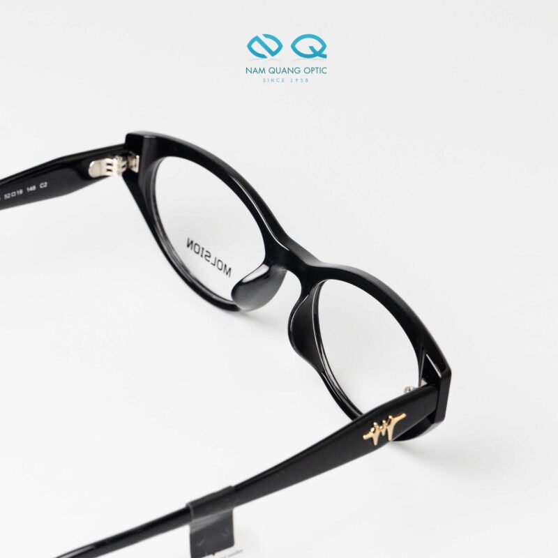 Gọng kính Molsion MJ5171_B10.C