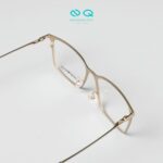 Gọng kính Emporio Armani EA1173D_3403_55
